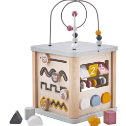 Activity Cube - FSC