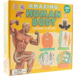 Amazing Human Body
