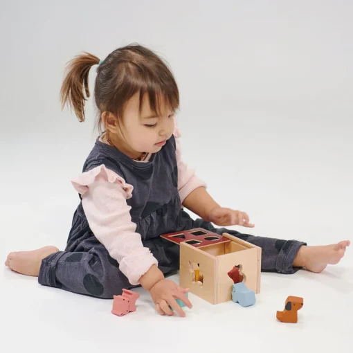 Bambino Shape Sorting Cube