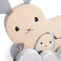 Bunny & Baby Pull Along