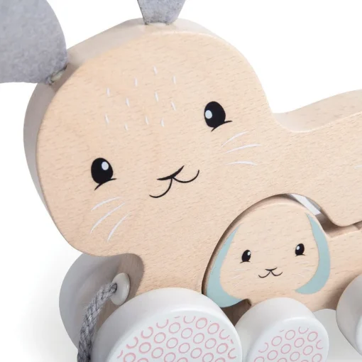 Bunny & Baby Pull Along