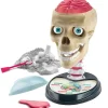 Crazy Anatomy