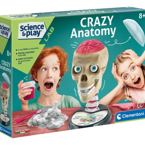 Crazy Anatomy