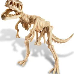 Dig a Dinosaur Skeleton - T-Rex