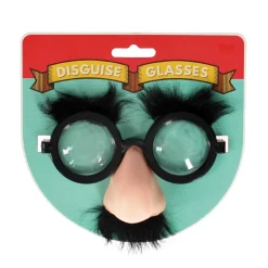 Disguise Glasses
