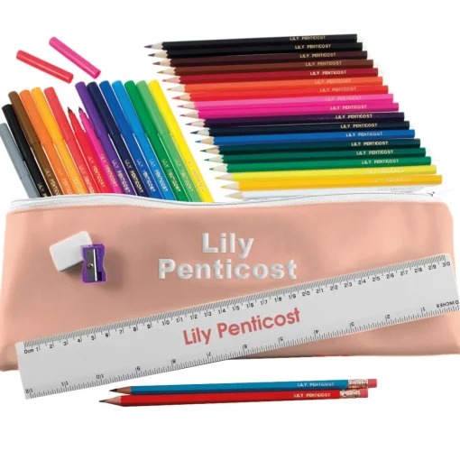Embroidered Jumbo Pencil Case - Dusky Pink