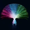 Fibre Optic Ice Lamp