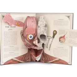 Human Body Pop Up Book