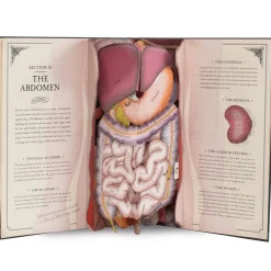 Human Body Pop Up Book