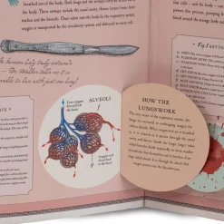 Human Body Pop Up Book