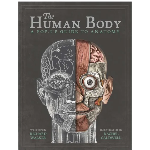 Human Body Pop Up Book