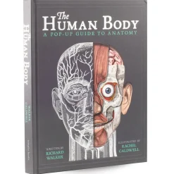 Human Body Pop Up Book