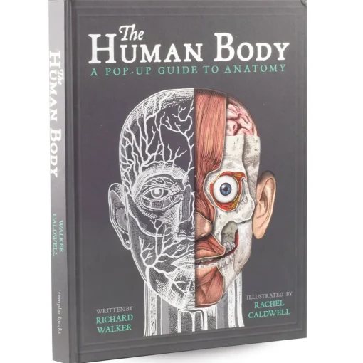 Human Body Pop Up Book