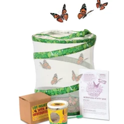 Live Butterfly Garden Kit