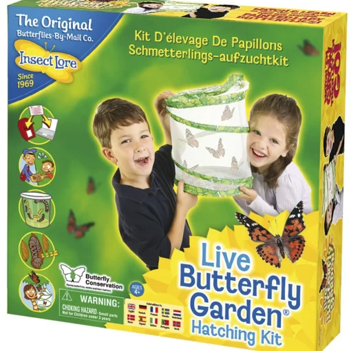 Live Butterfly Garden Kit