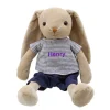 Personalised Mr Rabbit