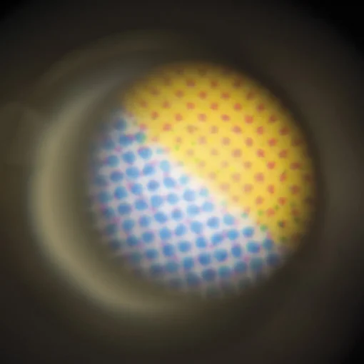 Pocket Microscope