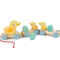 Pull Along Duck Family