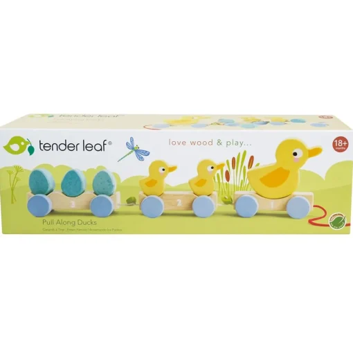 Pull Along Duck Family