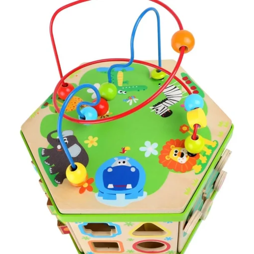 Safari Activity Cube