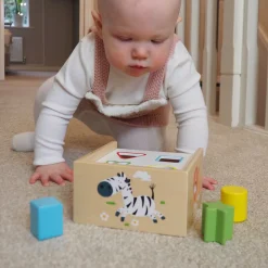 Safari Shape Sorter Box