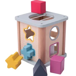 Shape Sorter - FSC