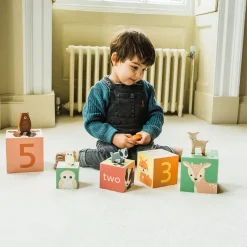Woodland Animal Stacking Cubes