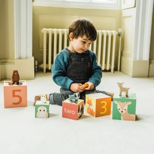 Woodland Animal Stacking Cubes